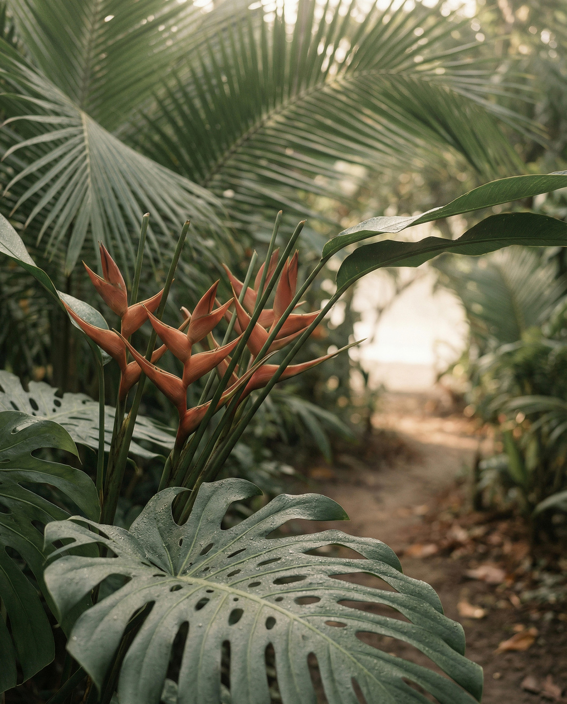 NAture journey package