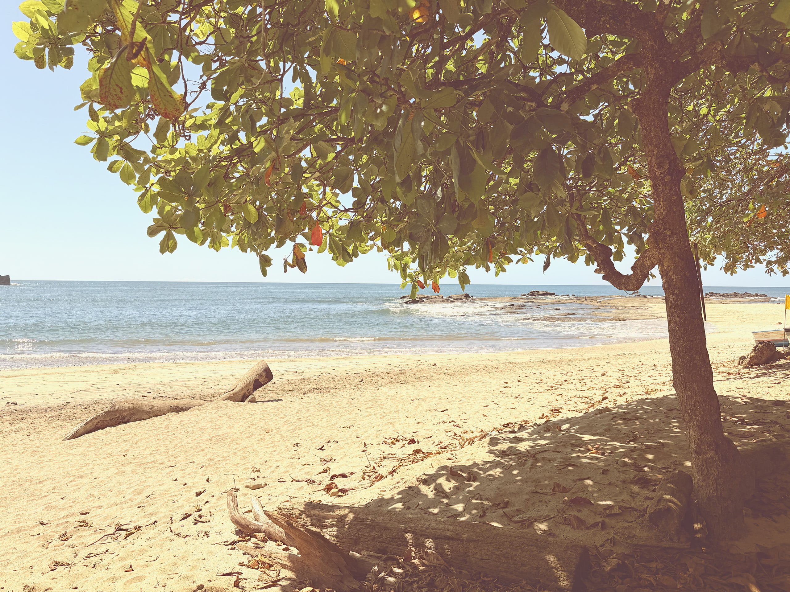 REjuvenation journey package